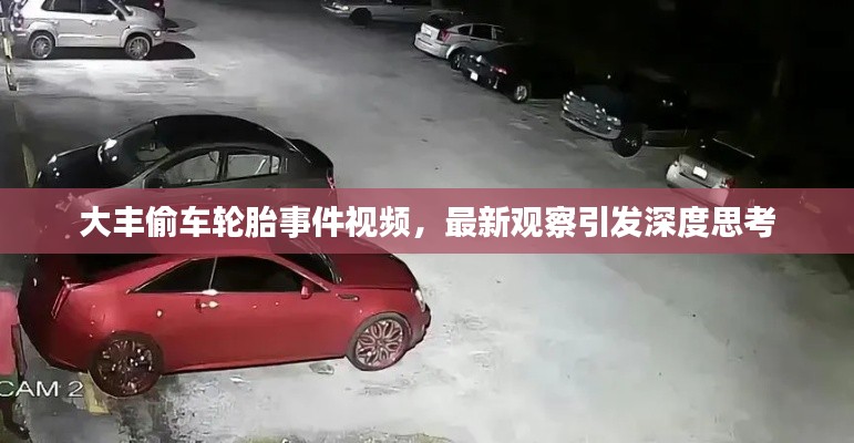 大丰偷车轮胎事件视频,最新观察引发深度思考