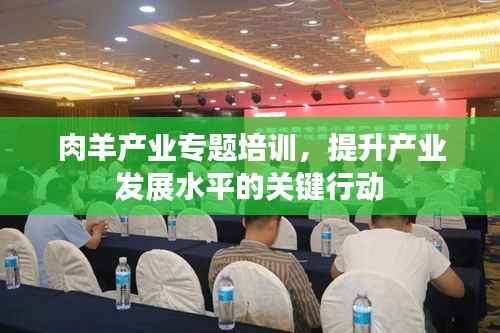肉羊产业专题培训,提升产业发展水平的关键行动
