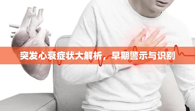 突发心衰症状大解析，早期警示与识别
