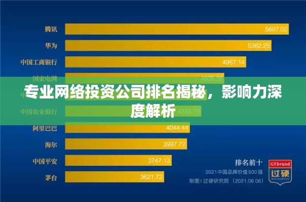 专业网络投资公司排名揭秘,影响力深度解析