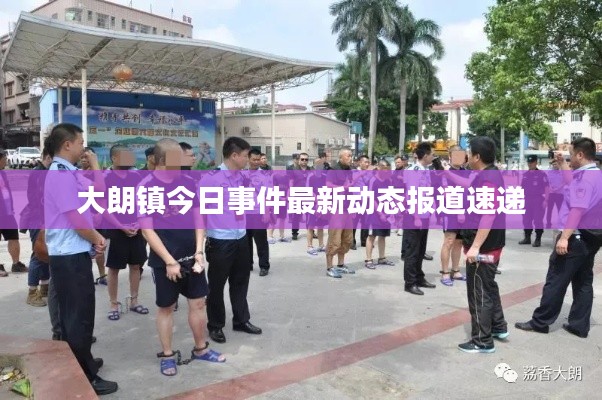 大朗镇今日事件最新动态报道速递