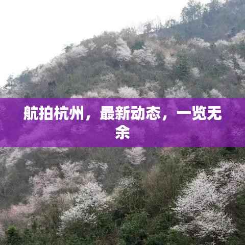 一石二鸟 第3页