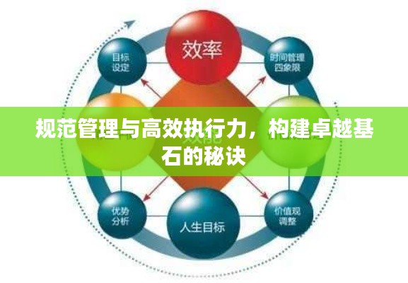 规范管理与高效执行力,构建卓越基石的秘诀