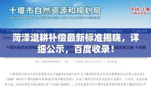 菏泽退耕补偿最新标准揭晓,详细公示,百度收录!