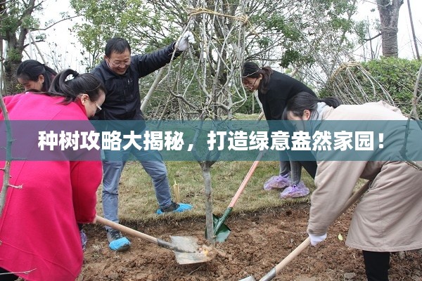 种树攻略大揭秘,打造绿意盎然家园!