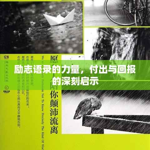 励志语录的力量,付出与回报的深刻启示