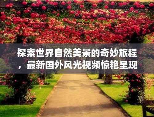 探索世界自然美景的奇妙旅程,最新国外风光视频惊艳呈现!