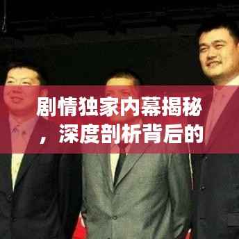 剧情独家内幕揭秘,深度剖析背后的故事