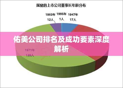 佑美公司排名及成功要素深度解析