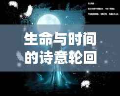 生命与时间的诗意轮回,探寻不断轮回的诗句之美