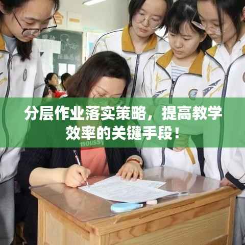 分层作业落实策略,提高教学效率的关键手段!