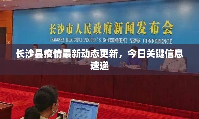 项目介绍 第195页