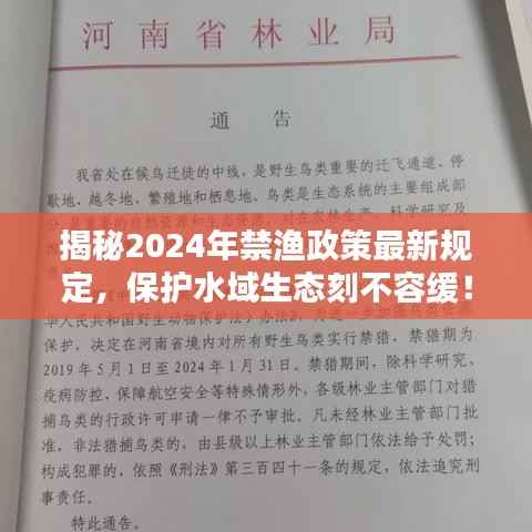 揭秘2024年禁渔政策最新规定,保护水域生态刻不容缓!