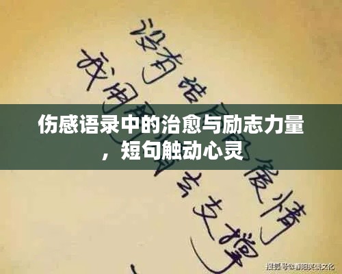 伤感语录中的治愈与励志力量,短句触动心灵