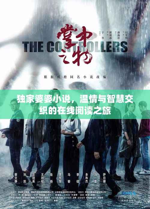 独家婆婆小说,温情与智慧交织的在线阅读之旅