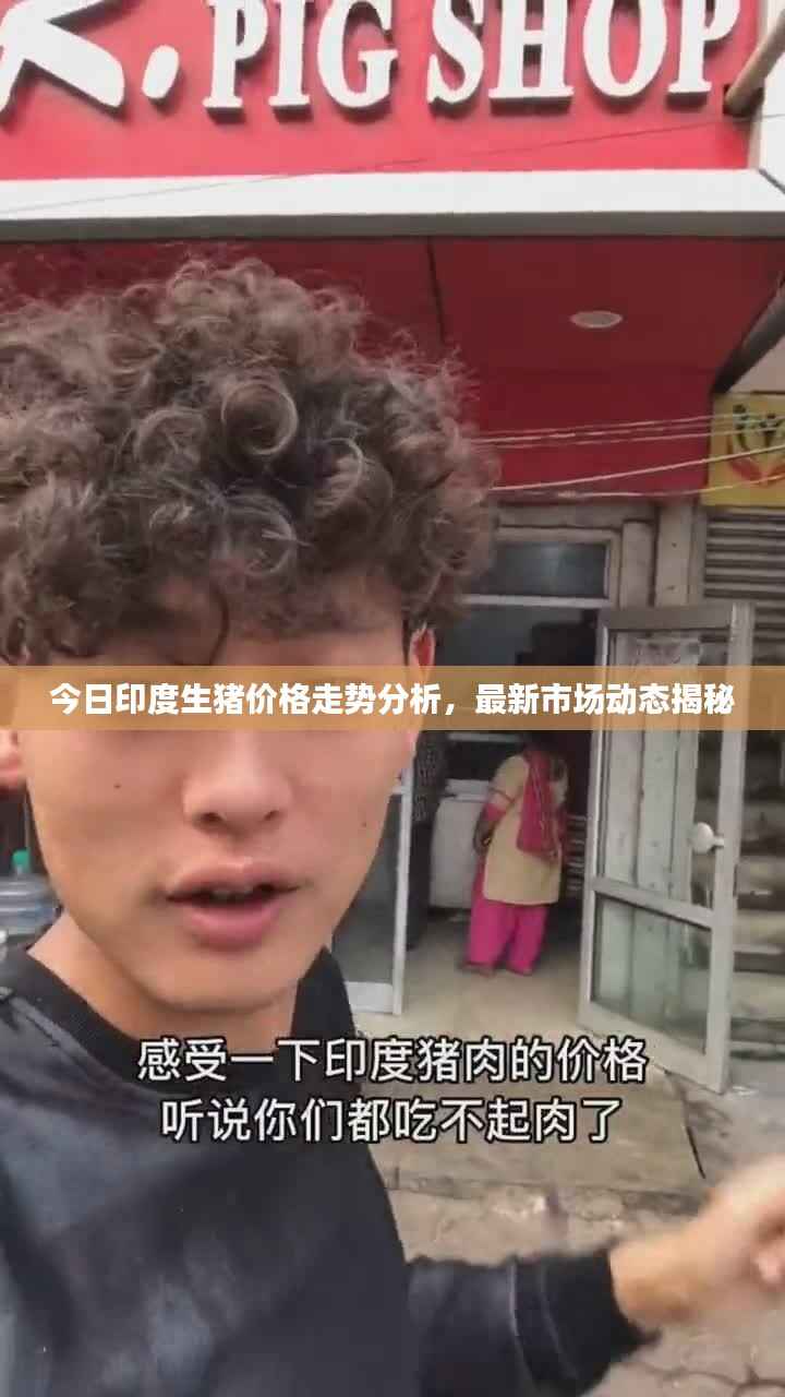 今日印度生猪价格走势分析,最新市场动态揭秘