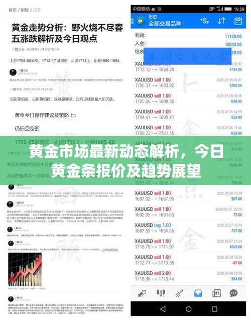 黄金市场最新动态解析,今日黄金条报价及趋势展望