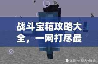 战斗宝箱攻略大全,一网打尽最新秘籍!