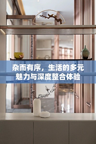 杂而有序,生活的多元魅力与深度整合体验