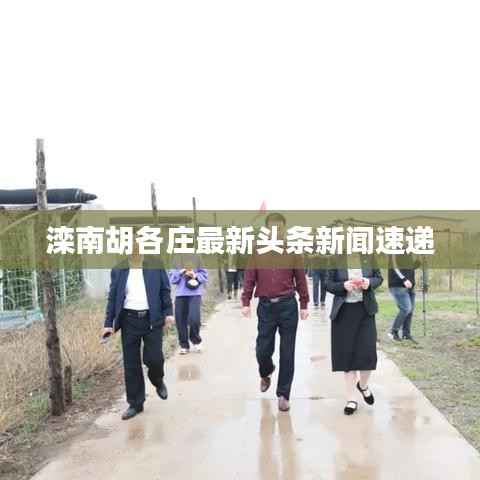 滦南胡各庄最新头条新闻速递