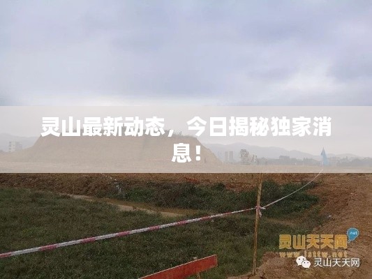 灵山最新动态,今日揭秘独家消息!