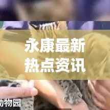 永康最新热点资讯速递