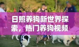 日照养狗新世界探索,热门养狗视频大集结