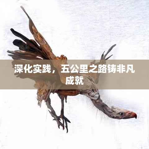 深化实践,五公里之路铸非凡成就