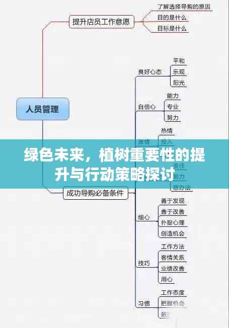 绿色未来,植树重要性的提升与行动策略探讨