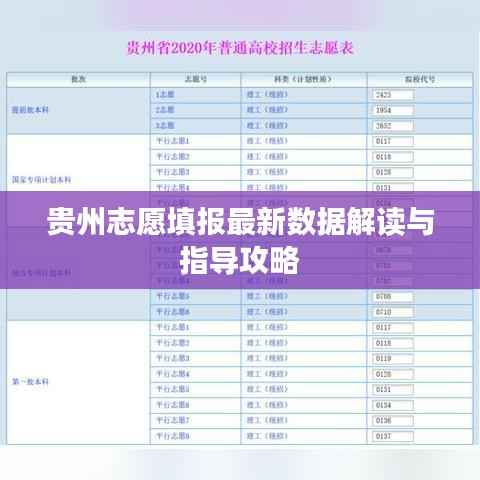贵州志愿填报最新数据解读与指导攻略