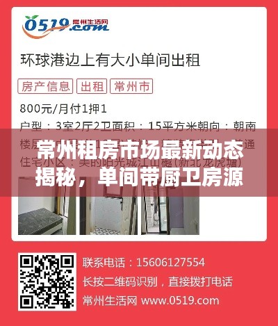 常州租房市场最新动态揭秘,单间带厨卫房源深度解析