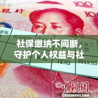社保缴纳不间断，守护个人权益与社会稳定的关键举措